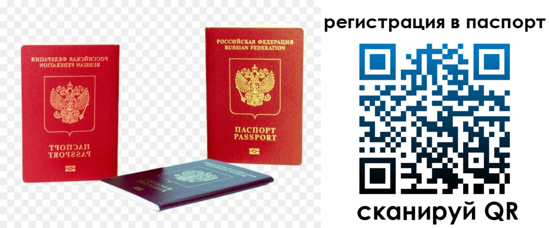 прописка от собственника в Полярных Зорях